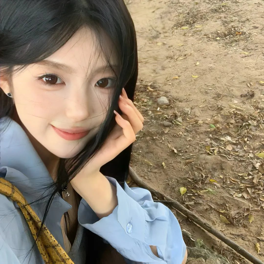 藏獒情未了