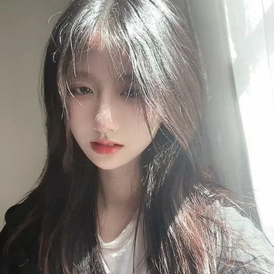 妖精森林的小不点